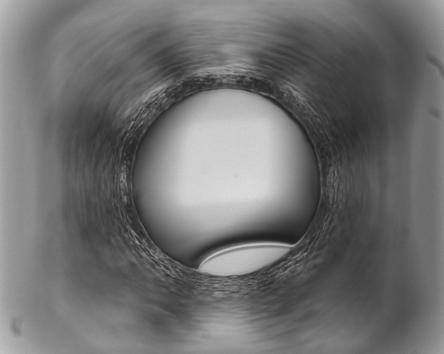 X0000102851062200808181042