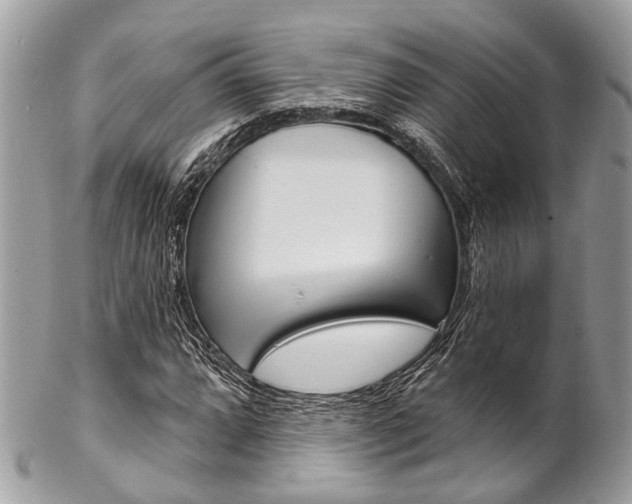 X0000102851064200808181042