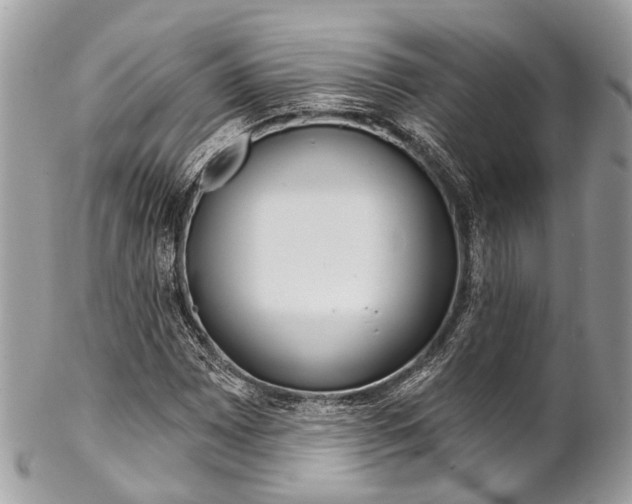 X0000102851065200808181042