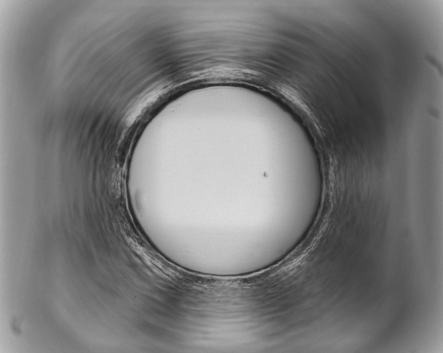 X0000102851067200808181042