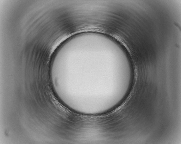 X0000102851069200808181042
