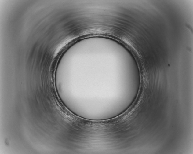 X0000102851070200808181042