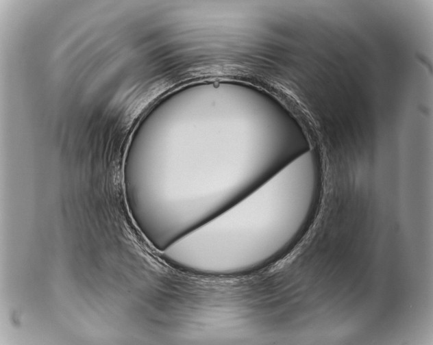 X0000102851073200808181042