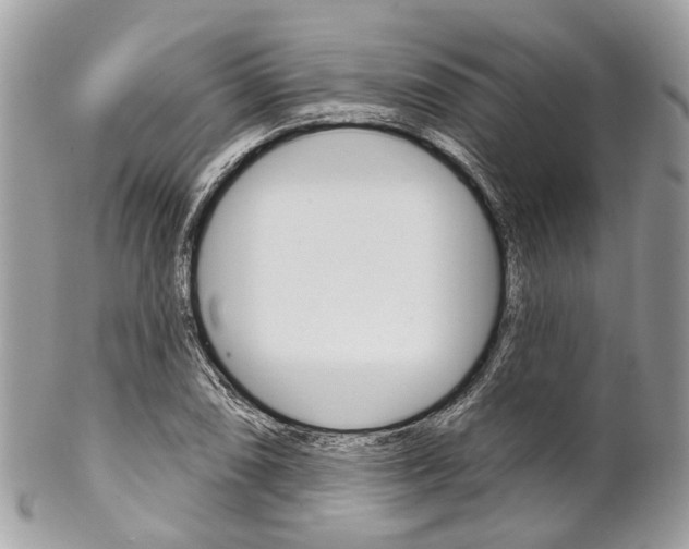 X0000102851074200808181042