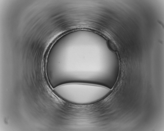 X0000102851076200808181042