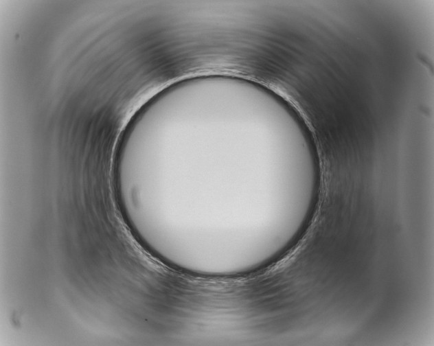 X0000102851077200808181042
