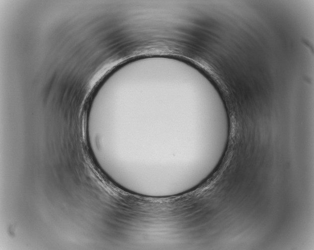 X0000102851078200808181042