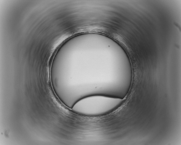 X0000102851079200808181042