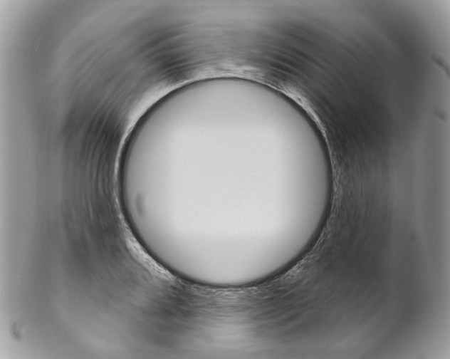 X0000102851080200808181042