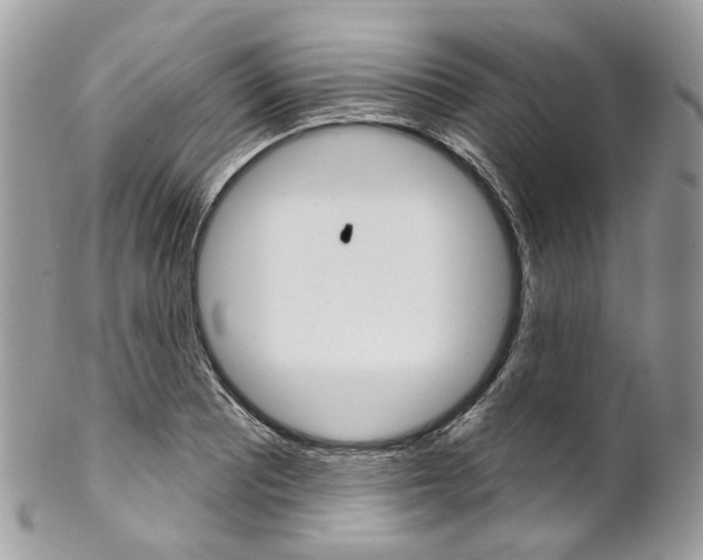 X0000102851081200808181042