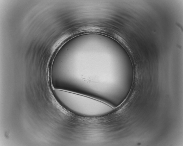 X0000102851082200808181042