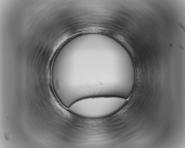 X0000102851083200808181042