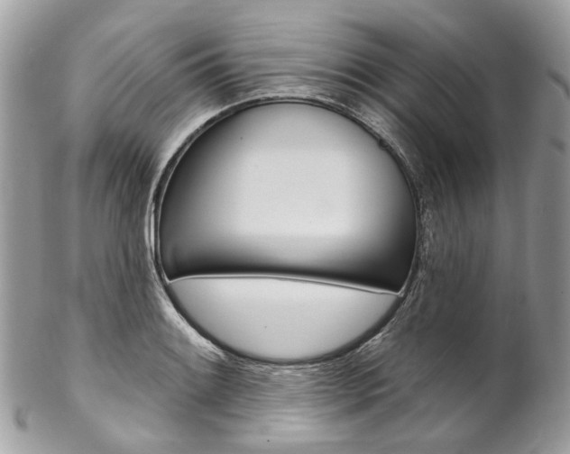 X0000102851084200808181042