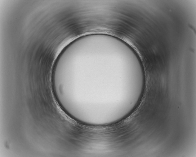 X0000102851085200808181042