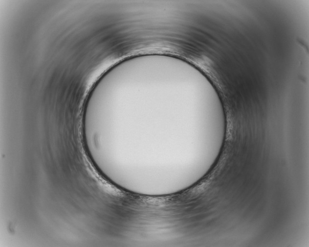 X0000102851086200808181041