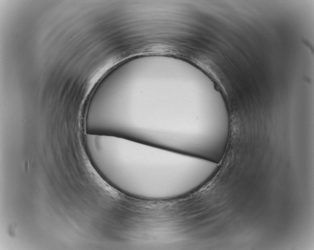 X0000102851091200808181041