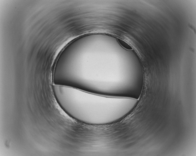X0000102851092200808181041