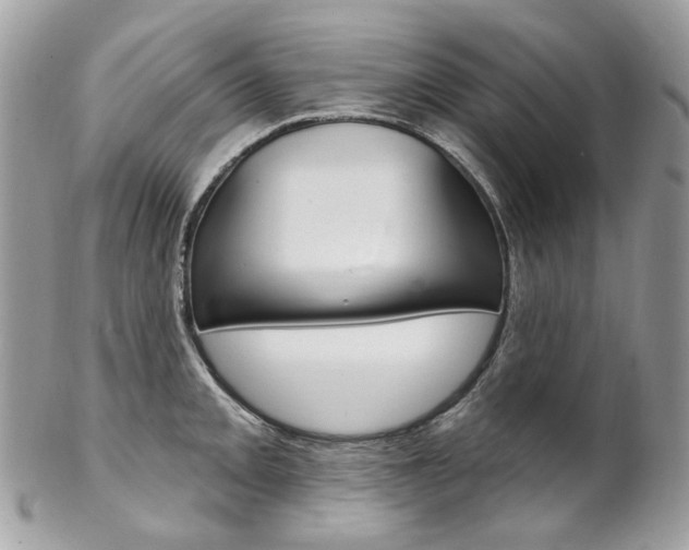 X0000102851093200808181041