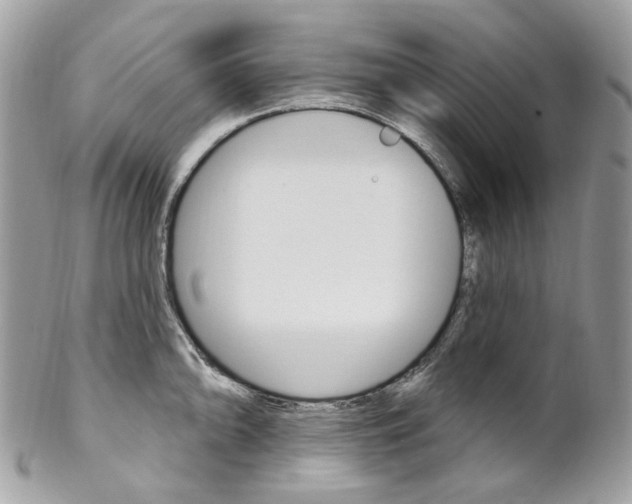 X0000102851094200808181041
