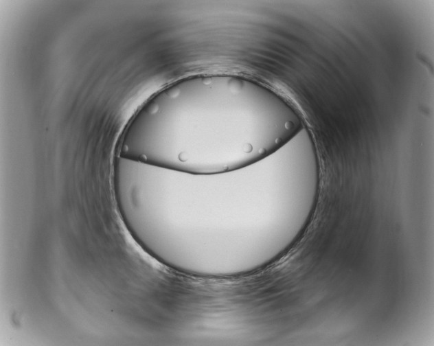 X0000102851095200808181041