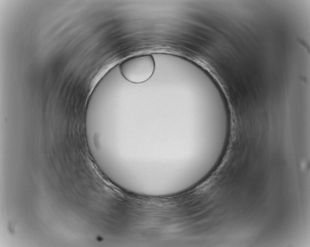 X0000102851097200808181041
