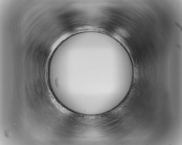 X0000102851098200808181041