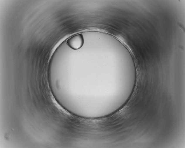 X0000102851100200808181041