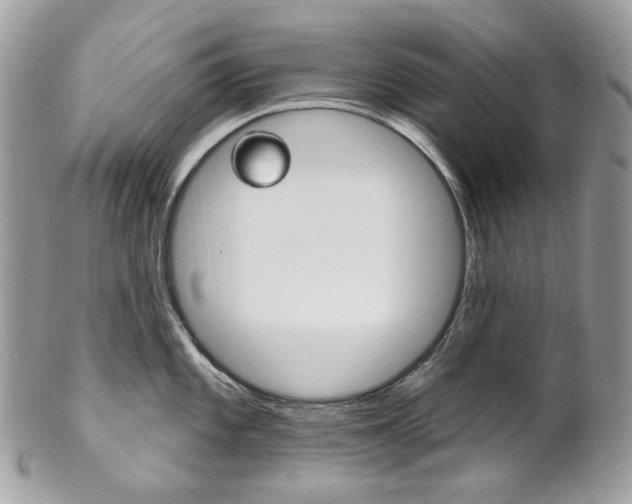 X0000102851101200808181041