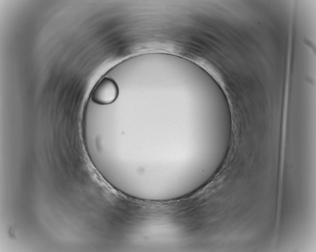 X0000102851104200808181041