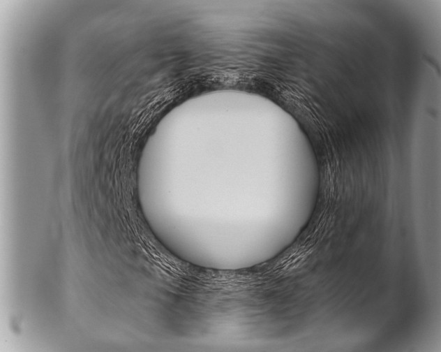 X0000102851105200808181041