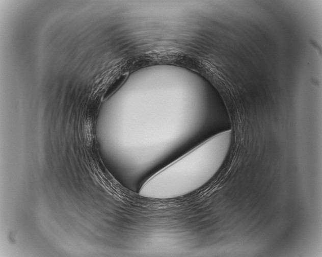 X0000102851108200808181041