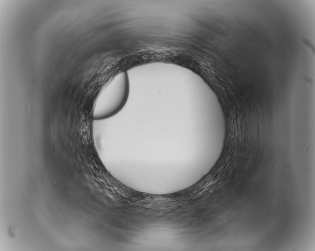 X0000102851109200808181041