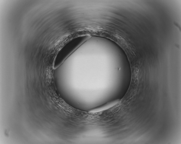 X0000102851110200808181041