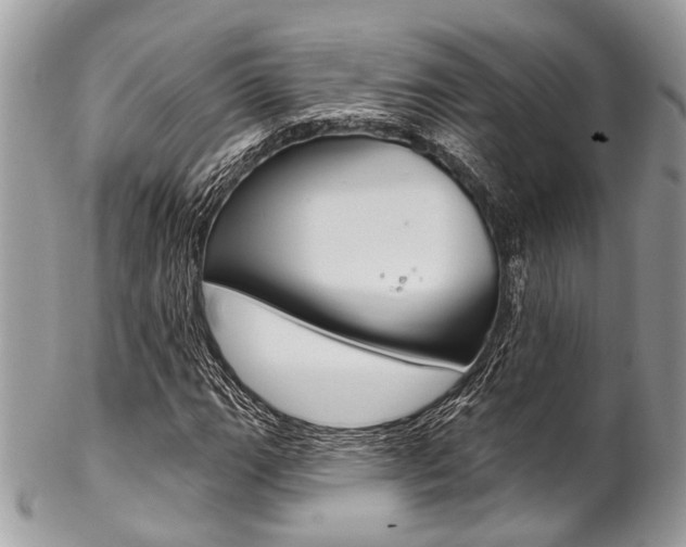 X0000102851111200808181041