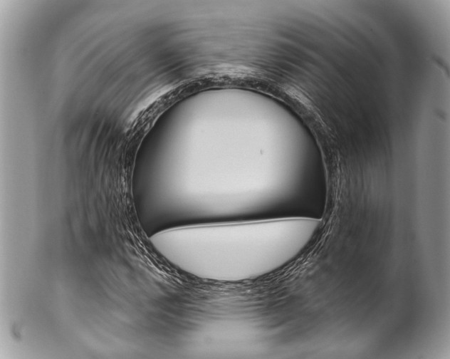 X0000102851112200808181041