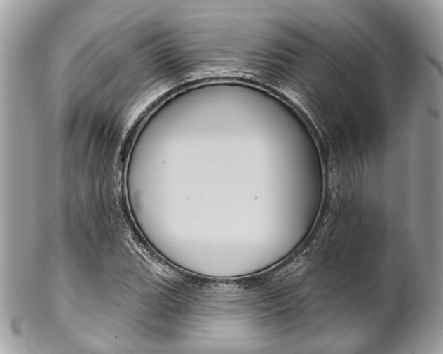 X0000102851119200808181041