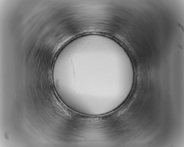 X0000102851121200808181041
