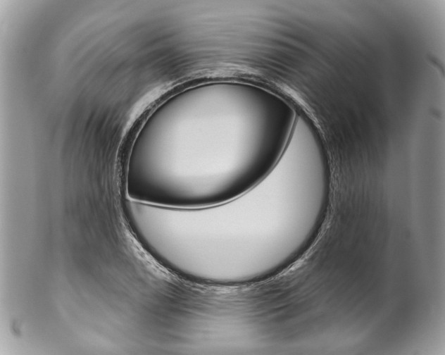 X0000102851122200808181041