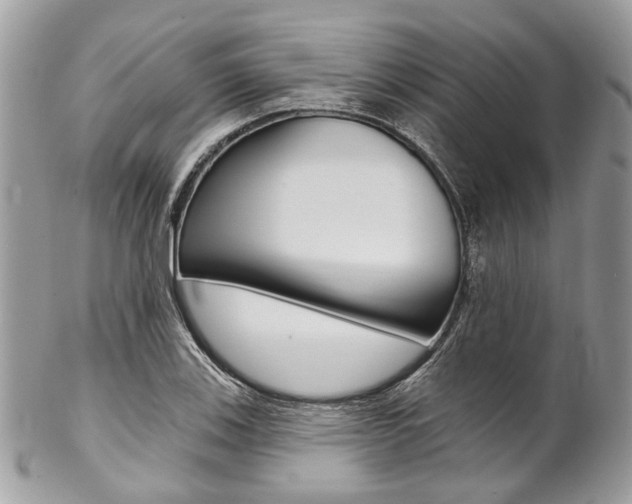 X0000102851123200808181041