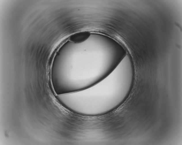 X0000102851124200808181041