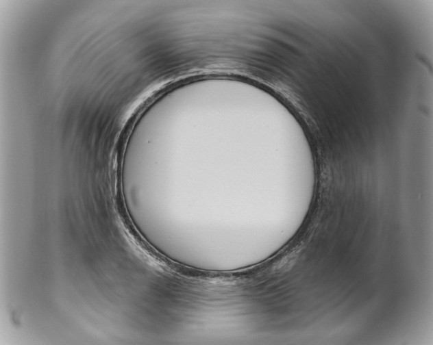 X0000102851126200808181041