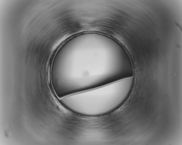 X0000102851127200808181041