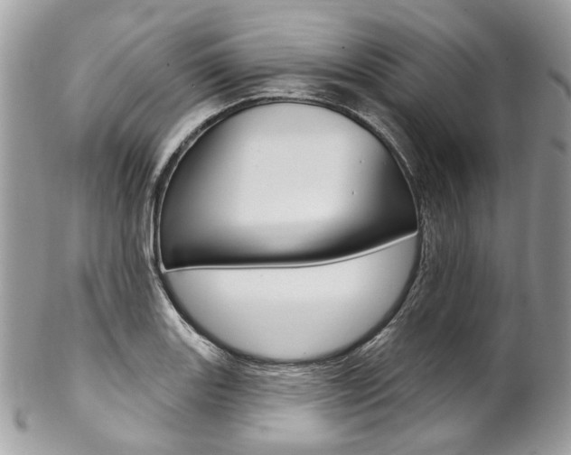 X0000102851131200808181041