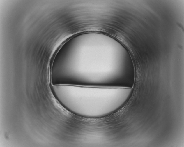 X0000102851132200808181041