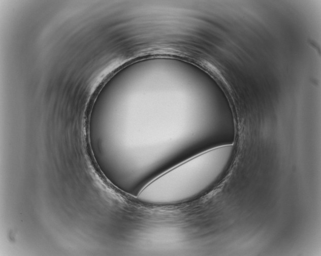X0000102851133200808181041
