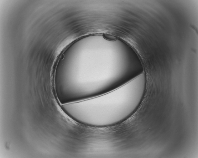 X0000102851135200808181041