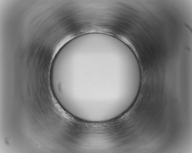 X0000102851138200808181041