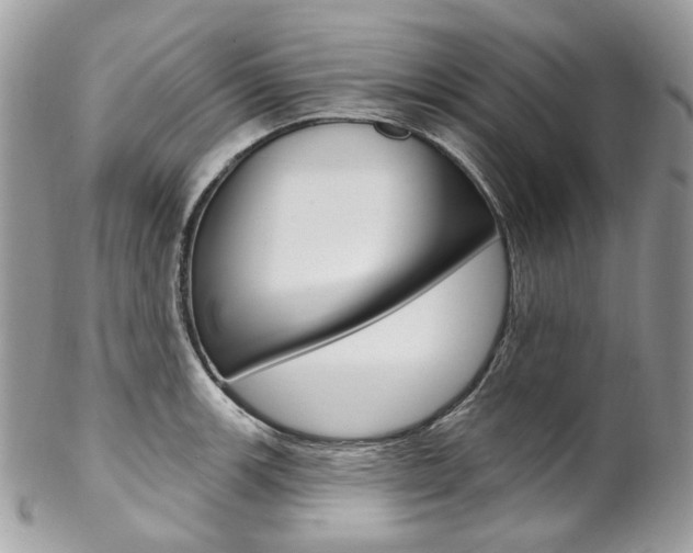 X0000102851139200808181041