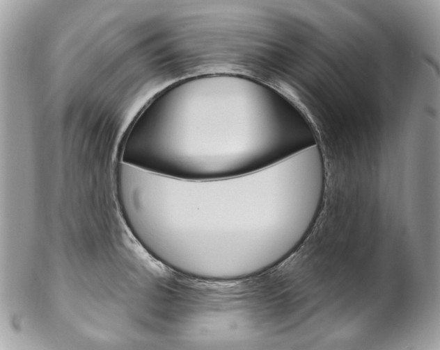 X0000102851140200808181041