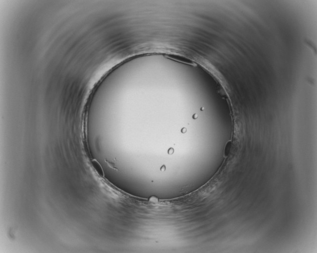 X0000102851144200808181041